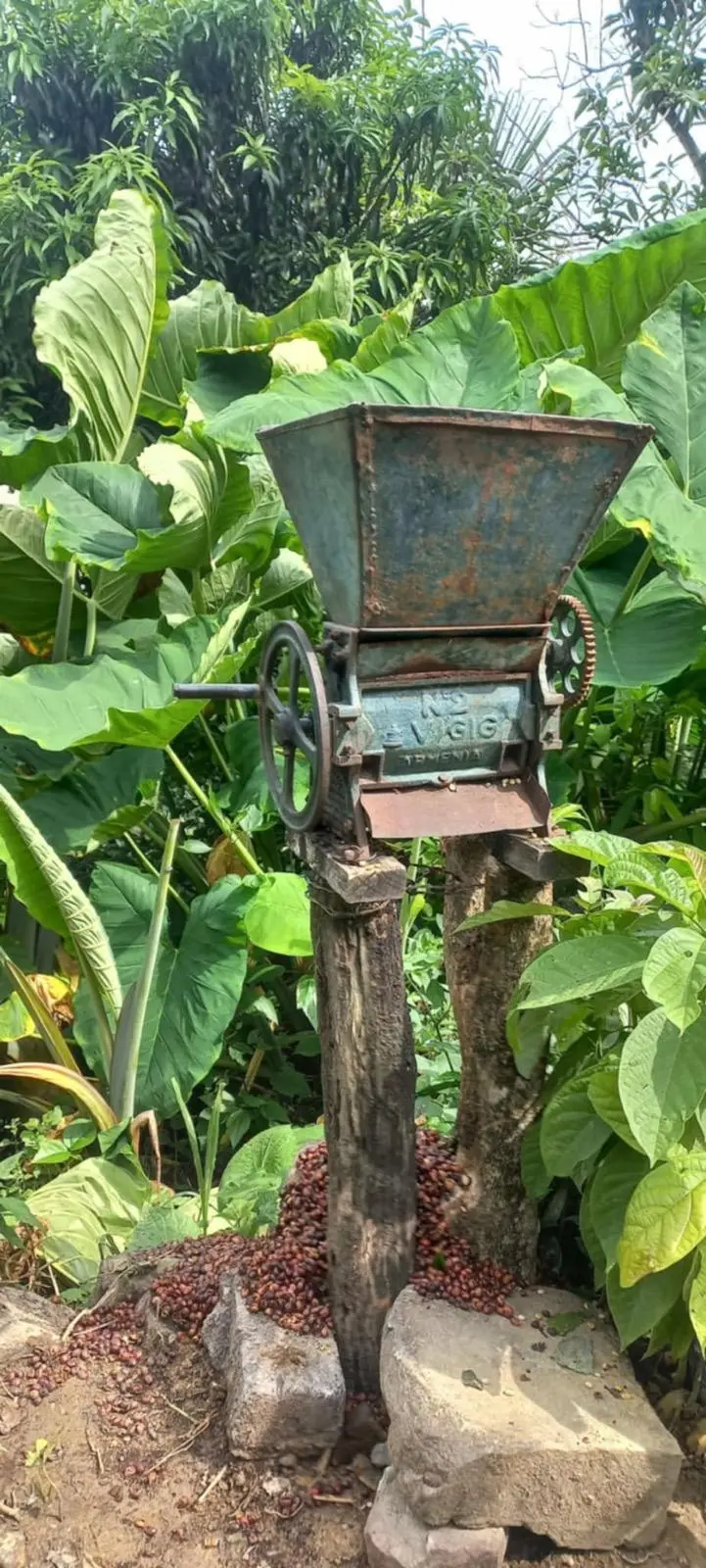 Práctica de campo con estudiantes